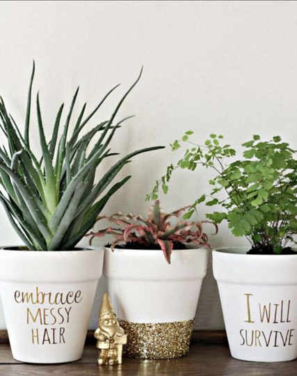 Beautiful Hand Painted 3 Pieces Set Terracotta Succulent Clay Pot Planters For Home Decor With Drainage Hole At The Bottom