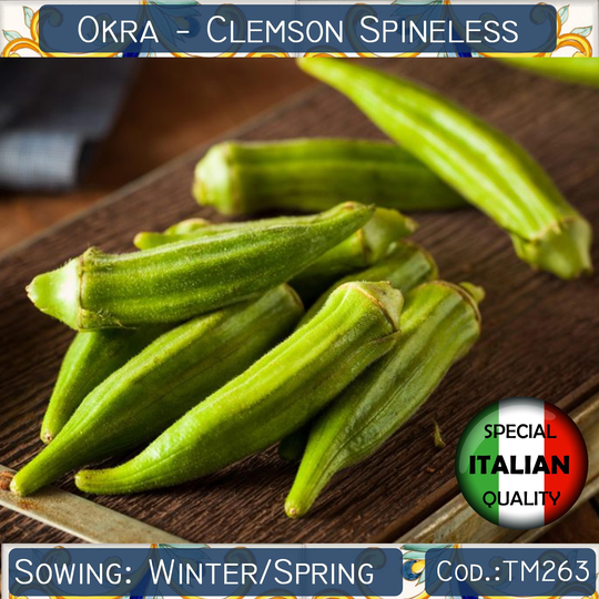 10 Okra Clemson Spineless Seeds, Gombo Non Gmo #tm263