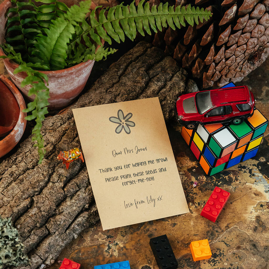 Forget Me Not Seeds For Teacher Gift