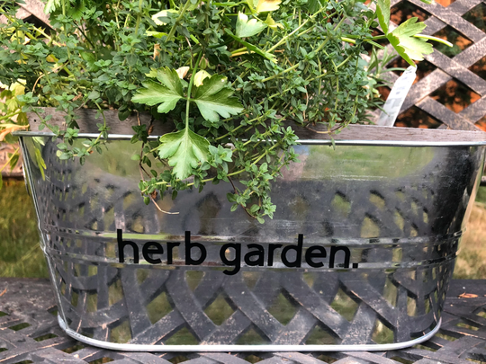Galvanized Metal Planters - Customizable, Farmhouse, Herb Planters, Plant Pots