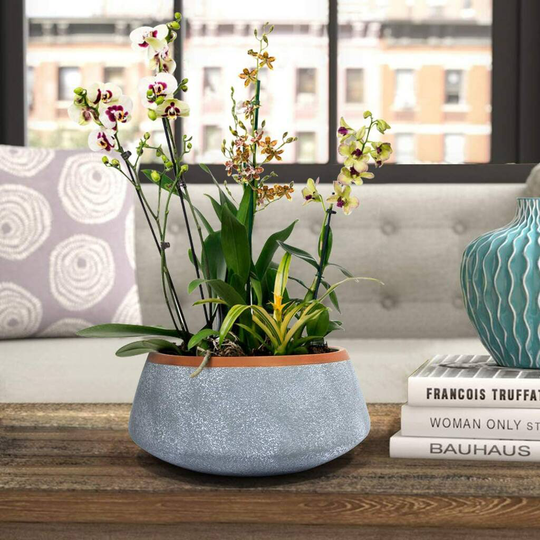 Ceramic Indoor Succulent Pot With Drainage