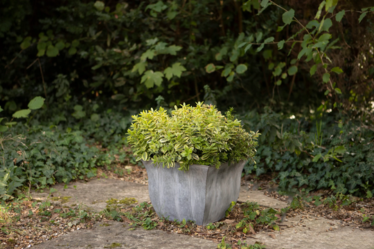 Set Of 3French Square Metal Zinc Galvanised Patterned Planters Pots Urns Trough Flower Pots