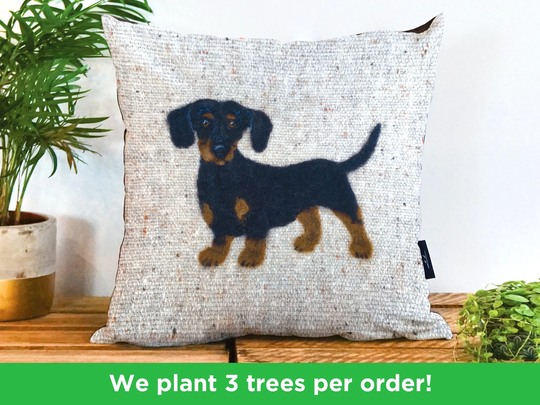Dachshund Vegan Cushion By Sharon Salt - Print Not 3D | Dachshung Throw Pillow Handmade in The UK Dog Gift Decor