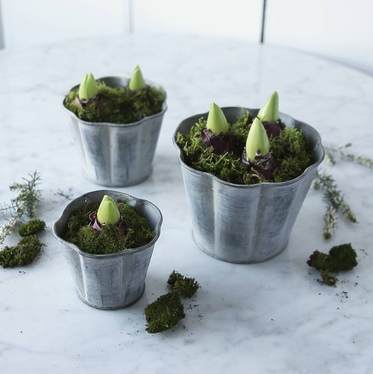 Scalloped Metal Plant Pot
