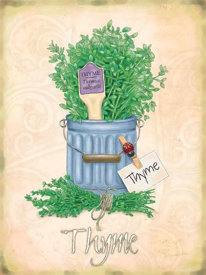 Thyme Herbs Garden Food & Drink Kitchen Cooking Cafe Shop Small Metal/Tin Sign