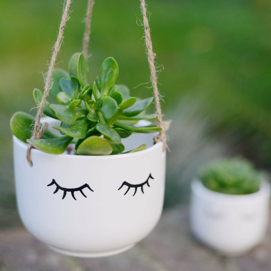 White Face Plant Pot With Choice Of Plant