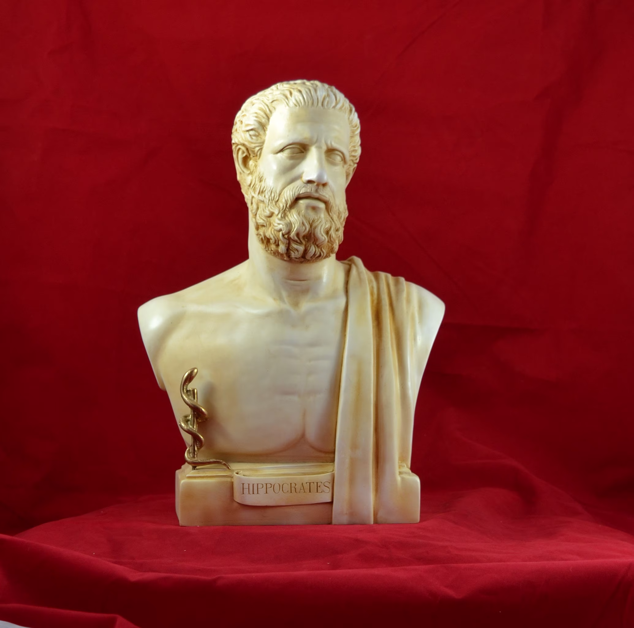 Hippocrates Bust Sculpture Greek "Father Of Modern Medicine