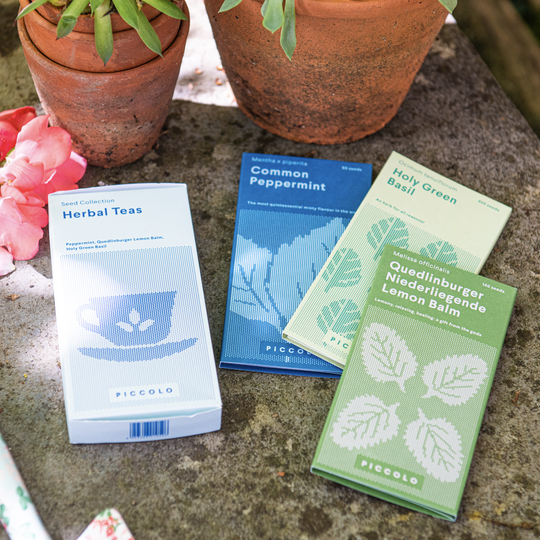 Grow Your Own Herbal Tea