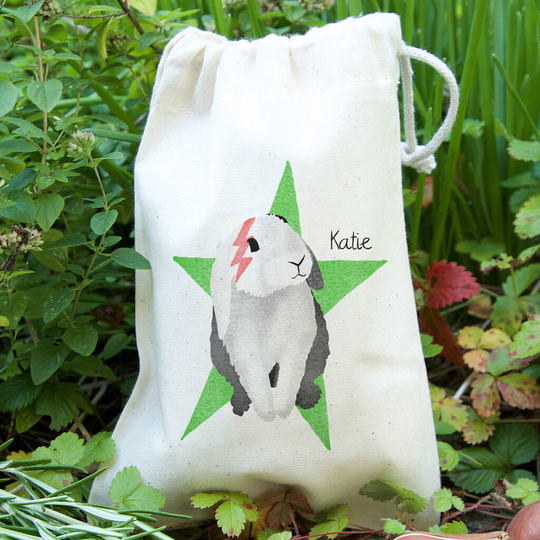 Little Rockstar Rabbit Bag With Carrot Seeds
