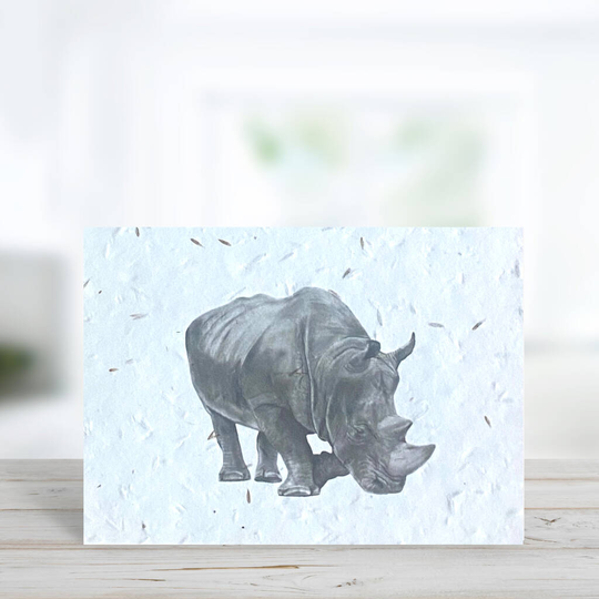 Situla The Rhino Seeded Rhino Eco Greeting Card