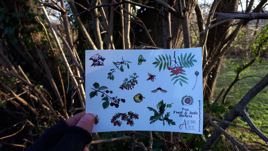 Autumnal Fruit & Seeds Sticker Sheets By Alice Draws The Line; Great For Children's Birthday Party Bags.a6 Of Woodland & Tree