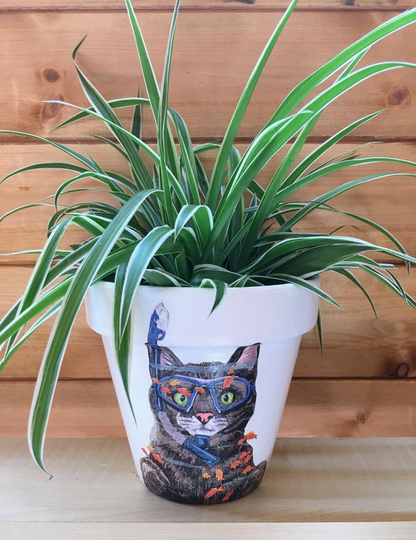 Scuba Cat Personalised Plant Pot