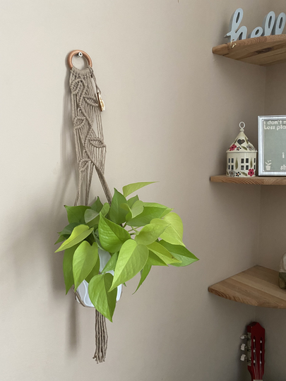 Taupe Wall Hanging Plant Hanger, Falling Leaf Pattern, Indoor Pot Holder, Macrame Boho Living Room Decor, Houseplant Hanger