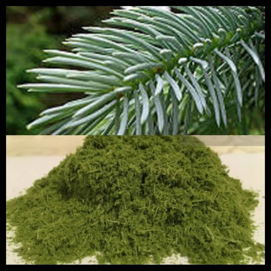 Silver White Spruce Needles Powder, Picea Engelmannii, Grinded, Organic, Natural