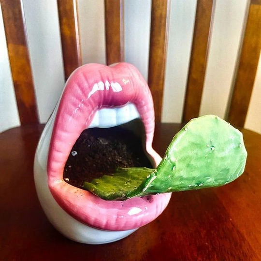 Ceramic Lips Planter, Red Succulent Open Mouth Cactus Air Plant Holder, Shipped From Usa