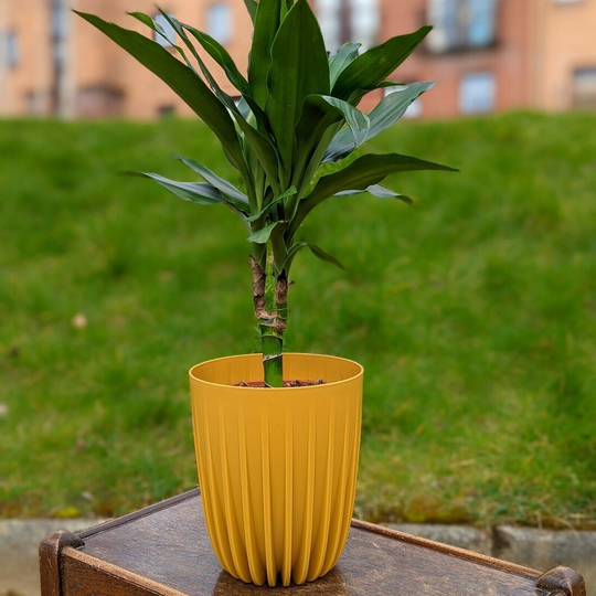 Mustard Yellow Plastic Plant Pot 15cm Round Garden Planter Cover Decor