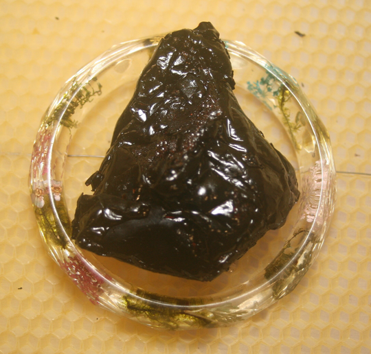 stinging Nettle Resin Extract | Urtica Dioica 100% Pure With No Additives
