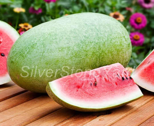 Watermelon Seeds 5000 Charleston Gray Sweet Watermelon, Open Ground, Easy To Grow, Sw811