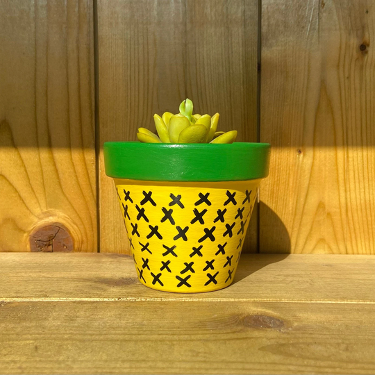Pineapple Terracotta Plant Pot | 9 cm Yellow Planter With Drainage Hole Hand Painted Flower Lover Gift Fun Summer