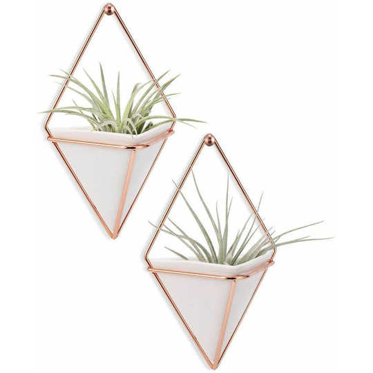 Hanging Vase, Air Plant Pots, Hanging Wall Decor, Plant Stand, Hanging Plant for Air Plants/Succulents/Cactus Plants/Desk Plants/Artificial Plant -2