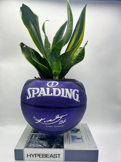 The Green Mamba Basketball Planter/Indoor