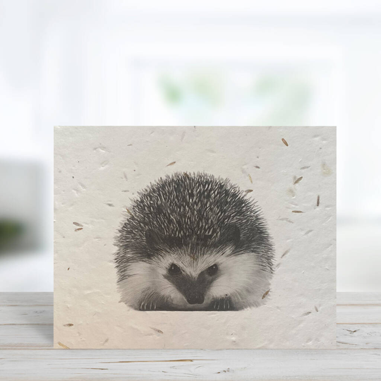 Persei The Hedgehog Plantable Seeded Greeting Card