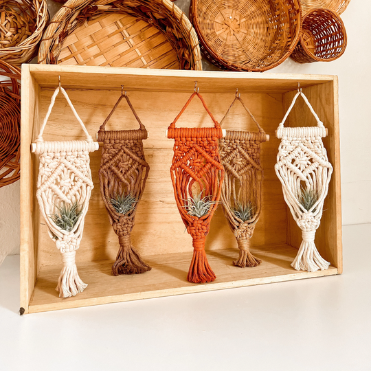 Macrame Air Plant Hanger | Lovers Gifts Unique Mini Planter Accessories