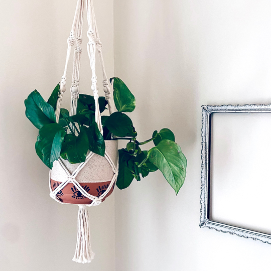 Macrame Plant Hanger | Handmade Hanging Indoor Or Outdoor Planter Boho Fringe