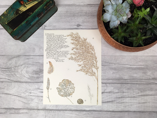 Brown Home Decor Art Print Vintage Botanical Antique Grasses Autumn Leaves Changing Seasons Fall Leaf Typography Kitchen