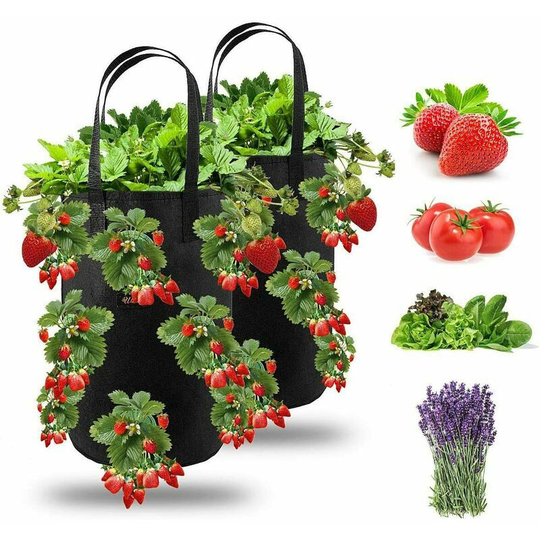 2pcs Strawberry Planting Bag, Hanging Strawberry Grow Bags Garden with 13 Holes, Planting Bag for Strawberries, Herbs, Tomatoes - 3 Gallon (2pcs