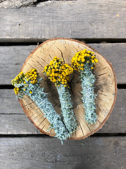 Wormwood & Tansy Smudging Stick - Alternative Cleanser Bundle-Antiparasitic Journeying Rituals Ceremony Herbs Artemisia Absinthium Incense