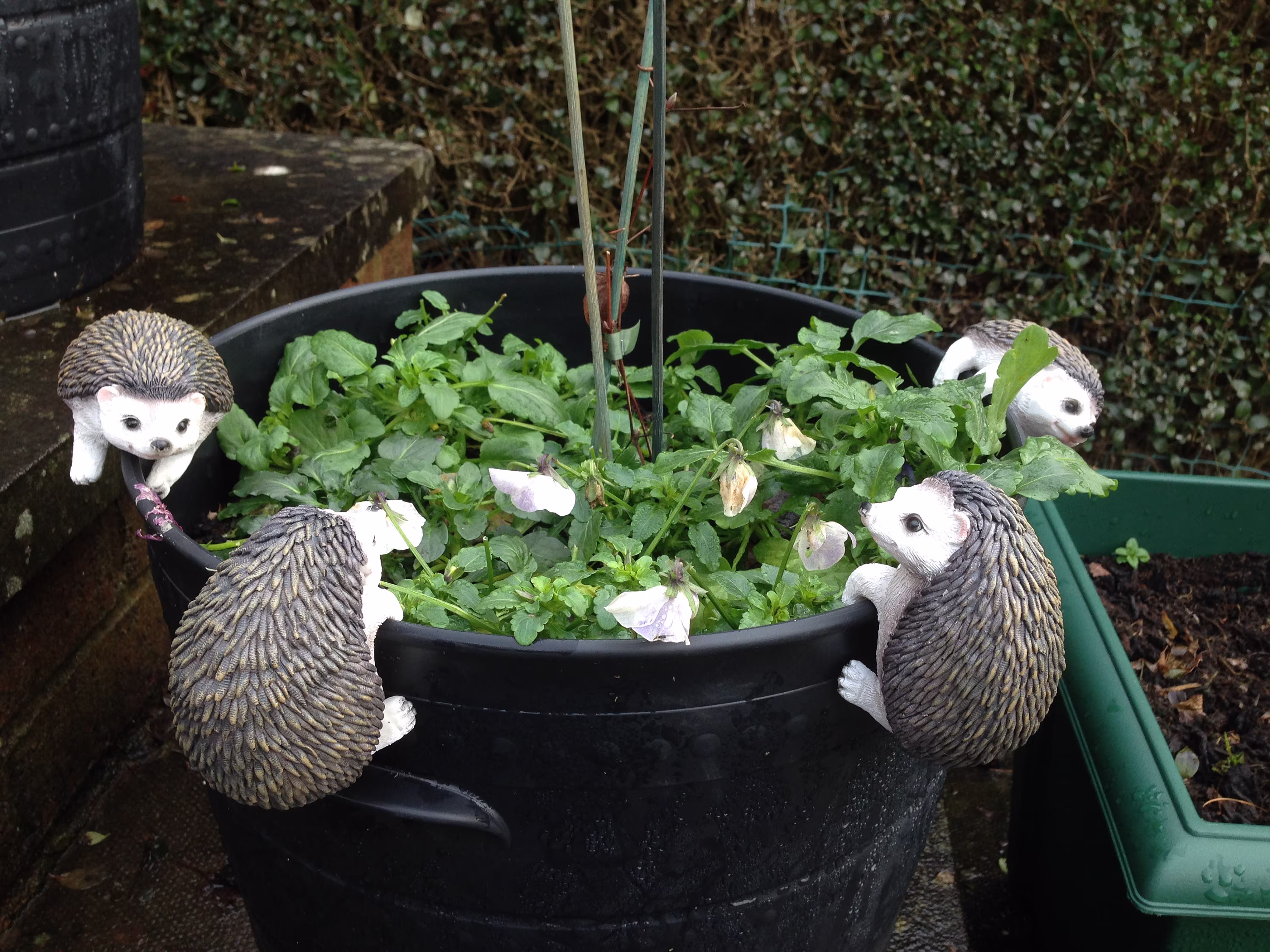 Hedgehog, Hog Pot Hanger Resin Garden Plant Hugger Decor