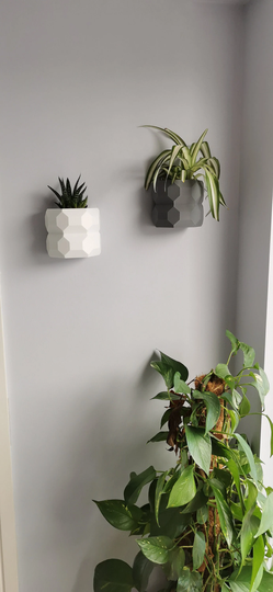 Wall Planter Geometric Design, Hanging, Indoor Vase, Vertical Garden, Plant Pot, Hanging