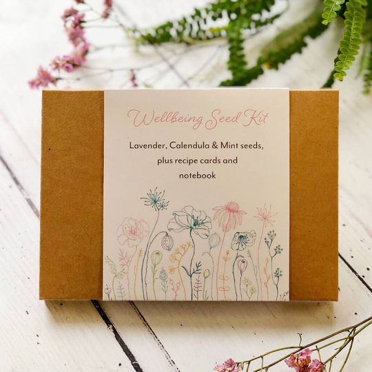 Wellbeing Seed Kit With Recipes