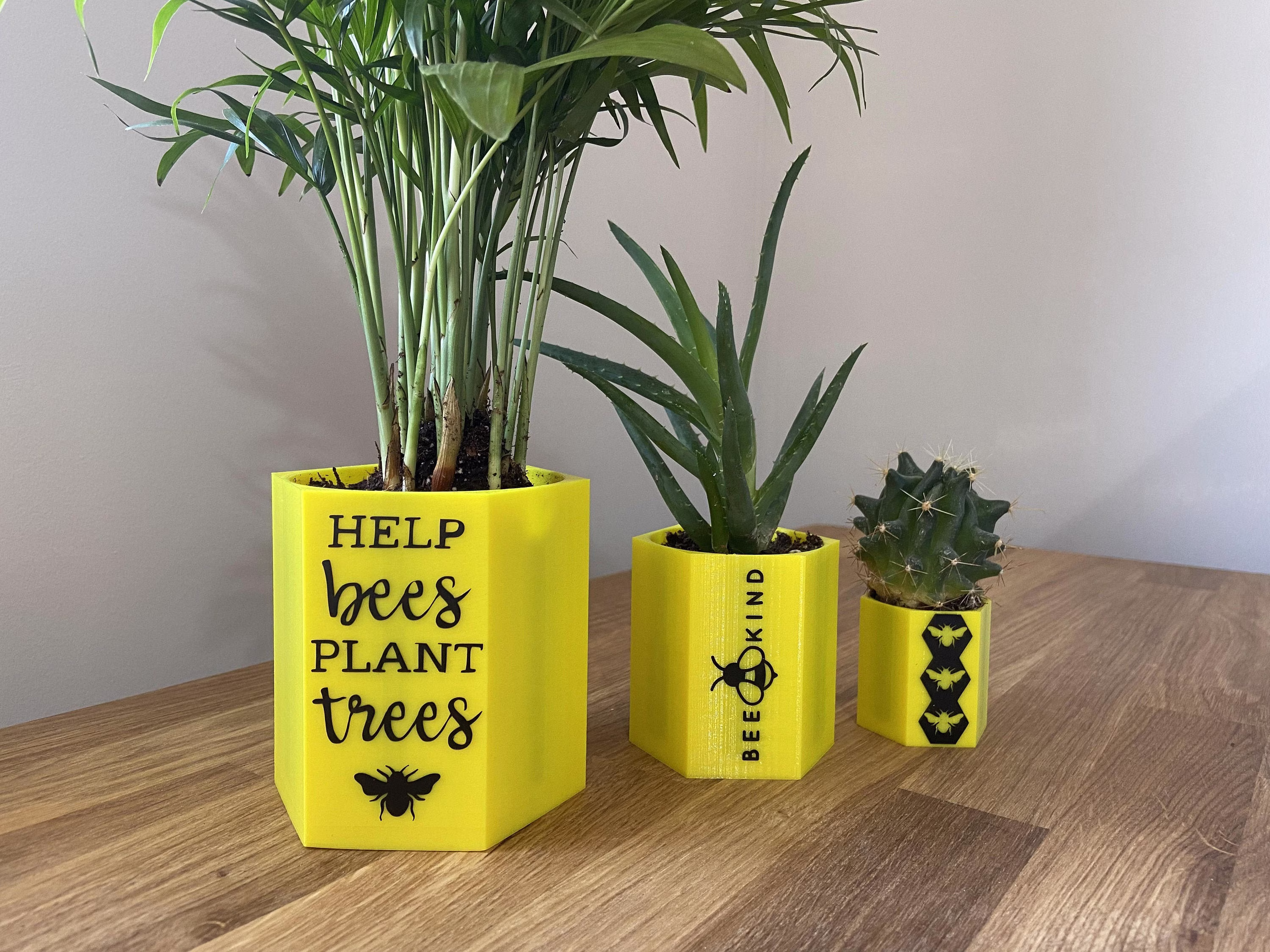 Bee Themed Plant Pots