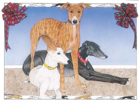 Greyhound Christmas Cards Set Of 10 & Envelopes