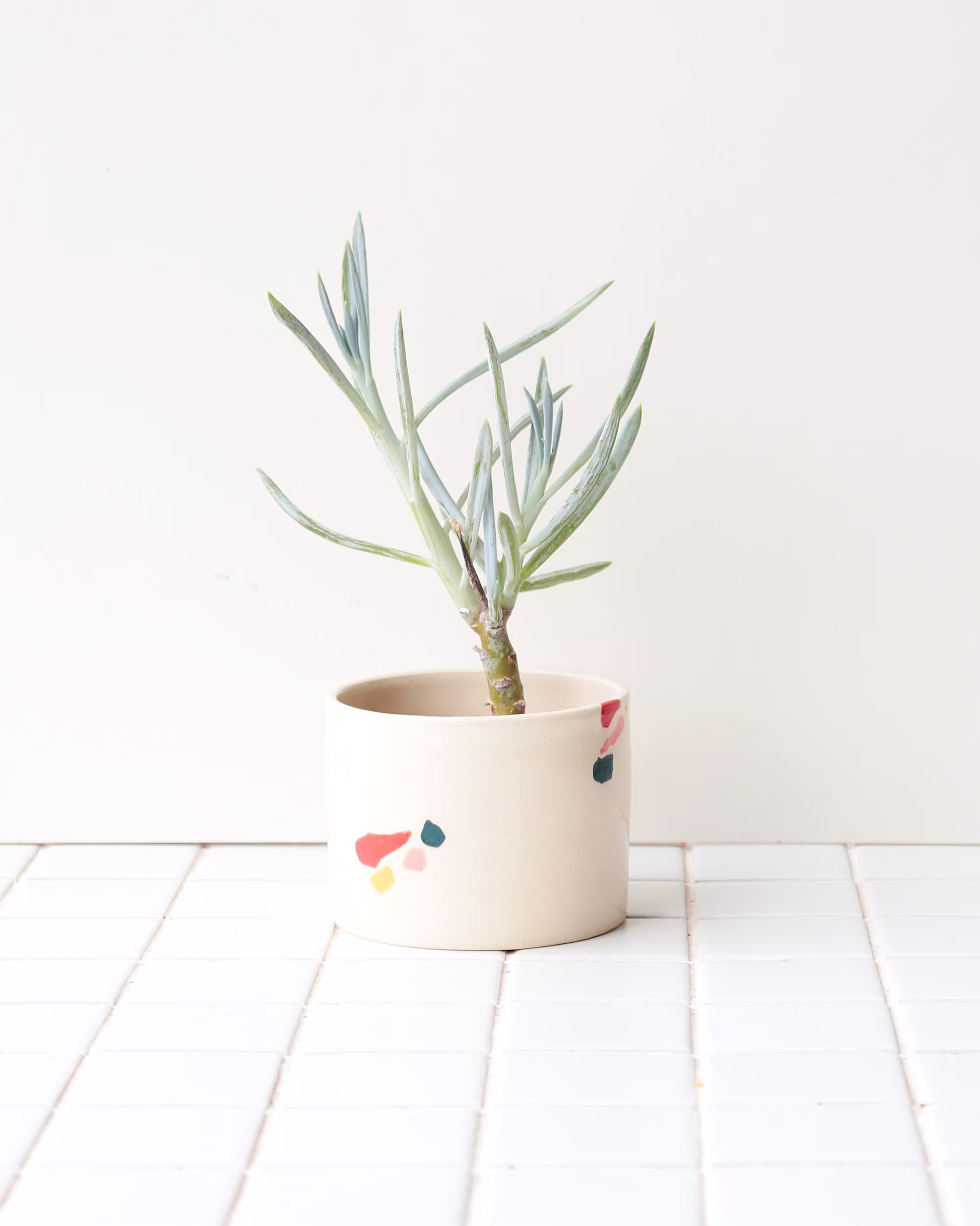 Colorful Ceramic Planter | Modern Pottery Plant Pot Terrazzo Style Cactus Indoor Succulent Decor
