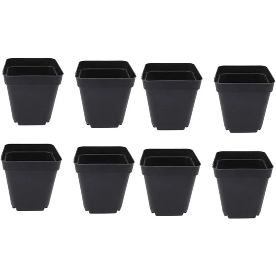 50 Pack Black Seedling Buckets - Square Plastic Planters - Small Indoor & Outdoor Planters (Black/6.5 x 5 x 6.5cm)