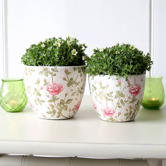 Rose Whitewashed Pot