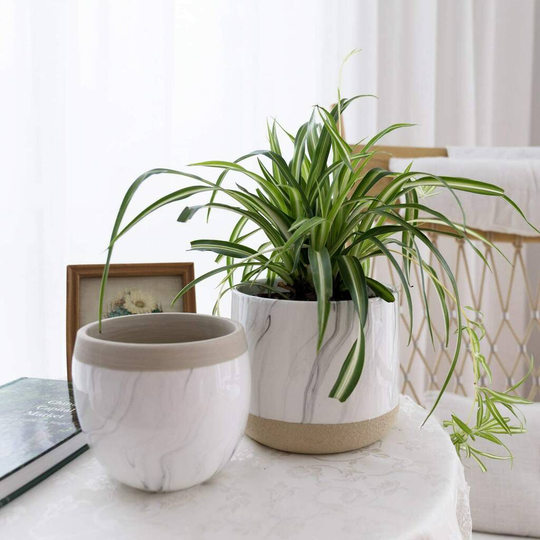 Pack Of Two Ceramic Flower Plant Pots Indoor Planters