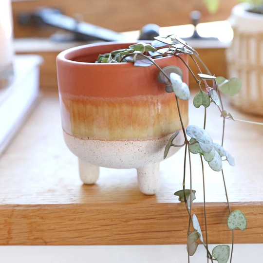 Sass & Belle Mojave Glaze Brown Planter, H9cm