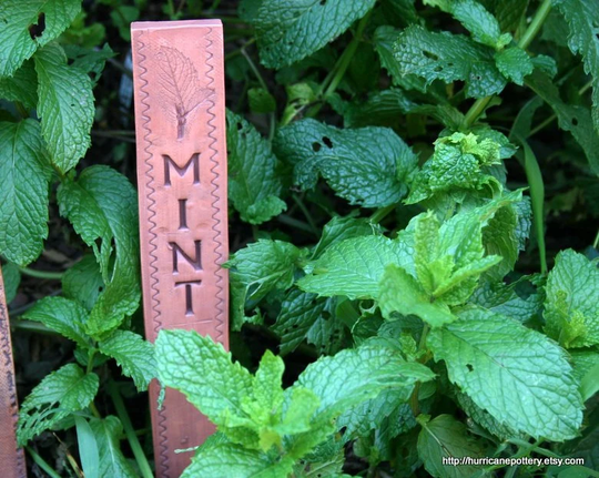 One Single Buff Stoneware Ceramic Garden Marker- Reusable - Durable Made To Order