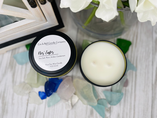 Soy Wax Candle - Nor' Easter Sea Salt, Plum, Amber | Scented Candles Vegan Home Decor Safe