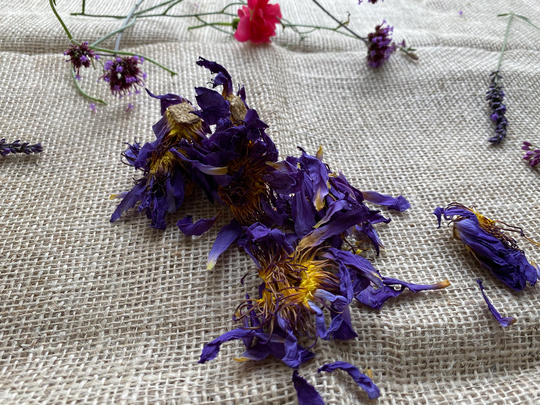 Relax Anti-stress Sleep Tea Lucid Dream Euphoric Organic Blue Lotus Dried Flower Loose Tea15G, Vegan, Eco Friendly