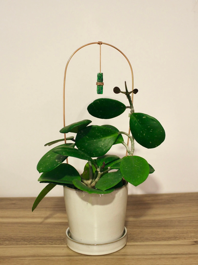 U-Crystal Trellis | Large