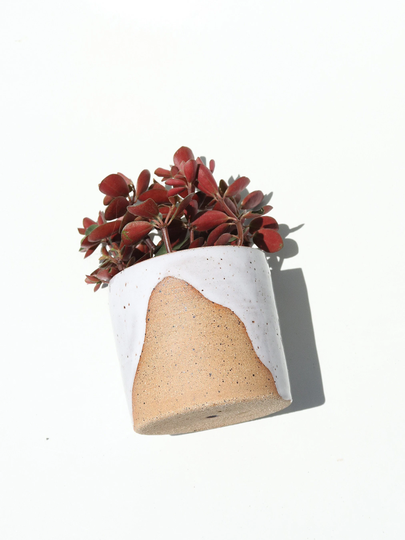 Ceramic Planter/Small Indoor Cactus Plant Pot Succulent