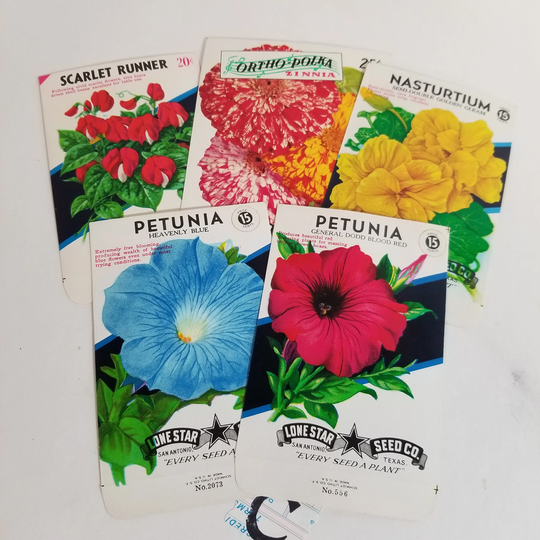 5 Colorful Flower Seed Packets Empty Unused Envelopes Spring Summer Variety Red Yellow Blue Vintage Paper Art Supplies Ephemera Lot C