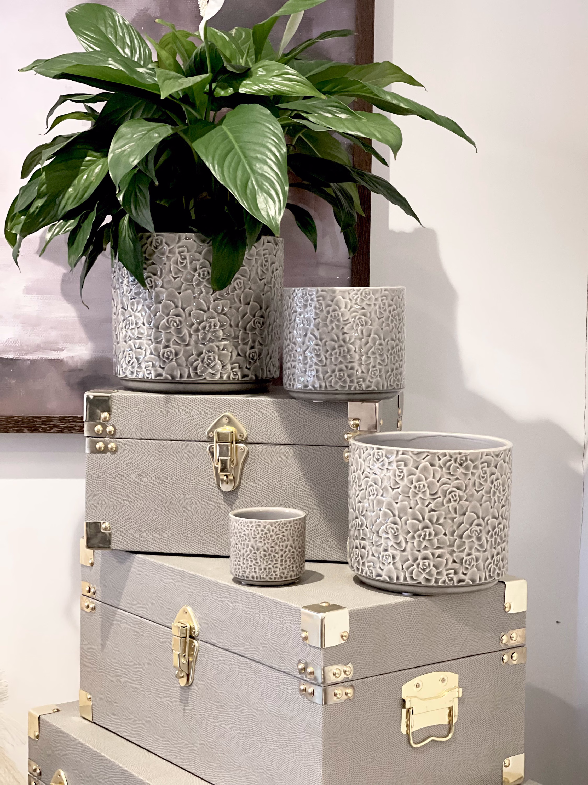 Floral Grey Ceramic Plant Pots, Glazed Pot, Embossed Indoor Textured Planter