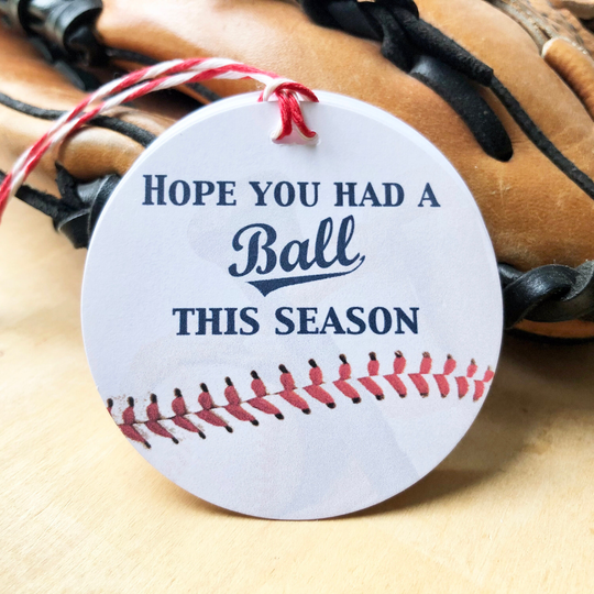 Baseball Party Tags, End Of Season Gift Tag, Thank You Had A Ball, Tee Rookie Little Slugger