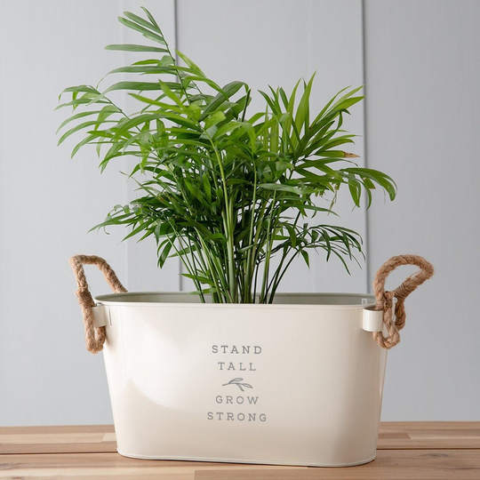 Engraved Metal Planter